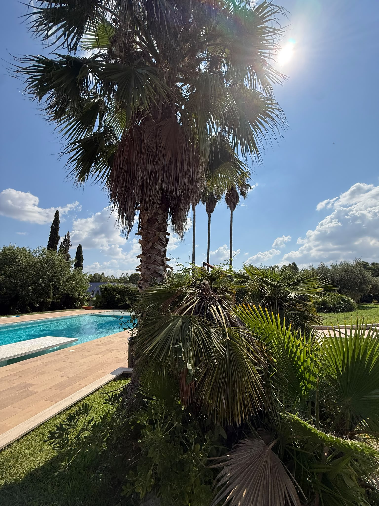 WhatsApp Image 2026-07-24 at 12.30.50 (4) APRILIA: PRESTIGIOSA VILLA CON PISCINA